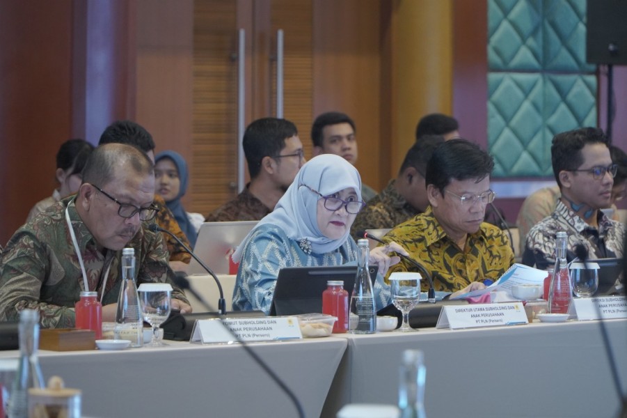 Dari PT Haleyora Power Menjadi PLN Electricity Services: Berhasil Tingkatkan Pendapatan dan Penjualan, Bukti Kinerja Gemilang di 2024